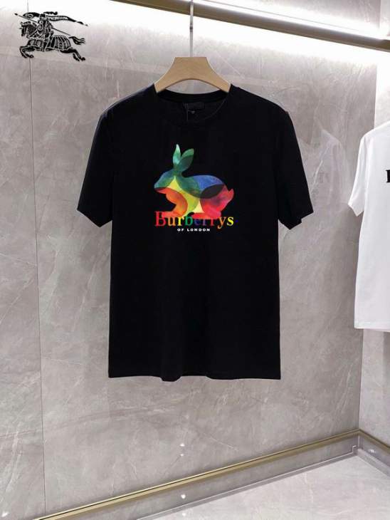 Picture of Burberry T Shirts Short _SKUBurberryS-5XL25tr3519686